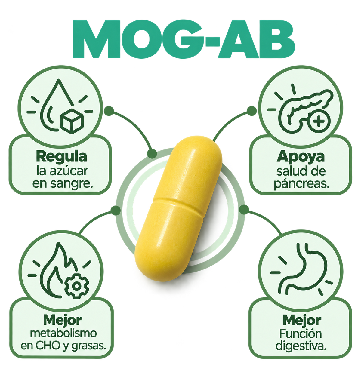 MOG-AB (Moringa Suministro para 1 mes)