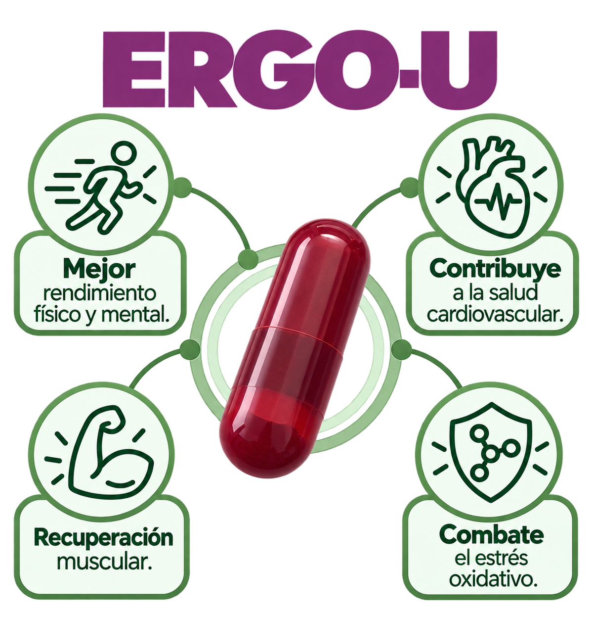 ERGO U (Ubiquinol 1 mes)