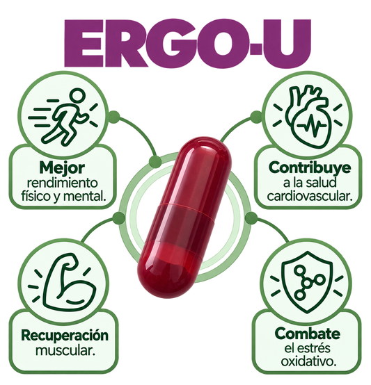 ERGO U (Ubiquinol 1 mes)