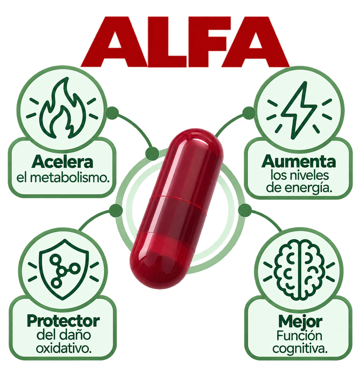 ALFA (Ác. alfalipoico 1 mes)