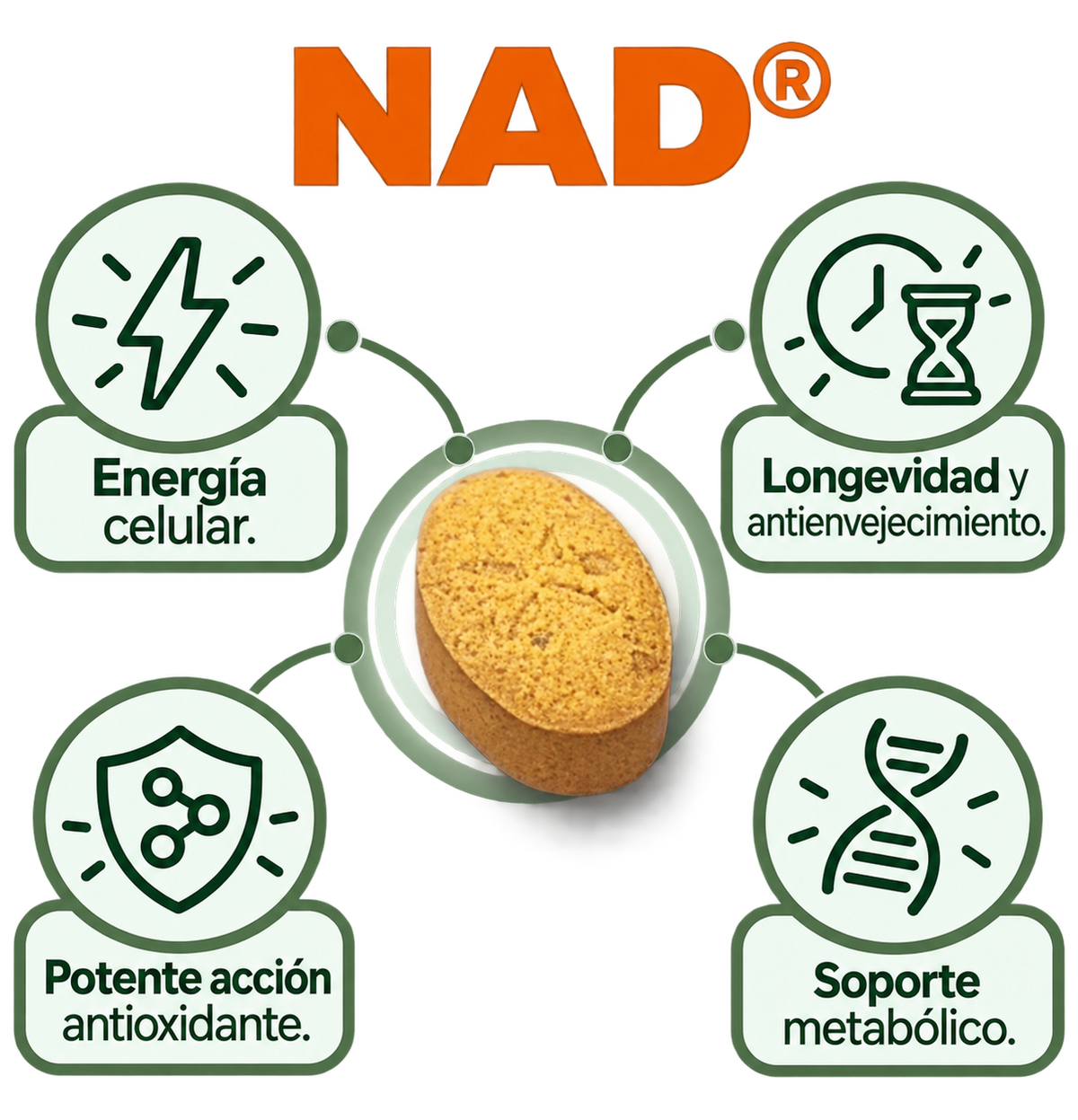 NAD (Nicotinamida 1 mes)