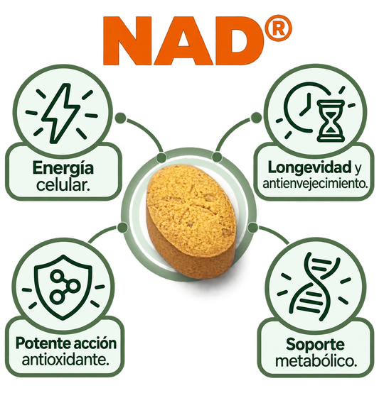 NAD (Nicotinamida 1 mes)